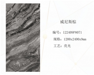 New Polished Venice Brown Sintered Stone Big Slab