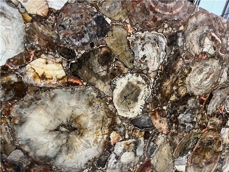 Petrified Wood Semiprecious Stone Slab(Round),Gemstone Slab