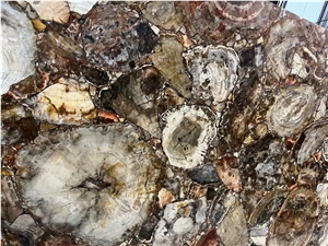 Petrified Wood Semiprecious Stone Slab(Round),Gemstone Slab