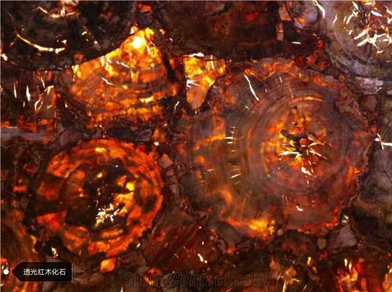 Petrified Wood Semiprecious Stone Slab(Round),Gemstone Slab