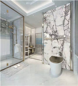 Brazil Patagonia Quartzite Polished Slabs&Tiles