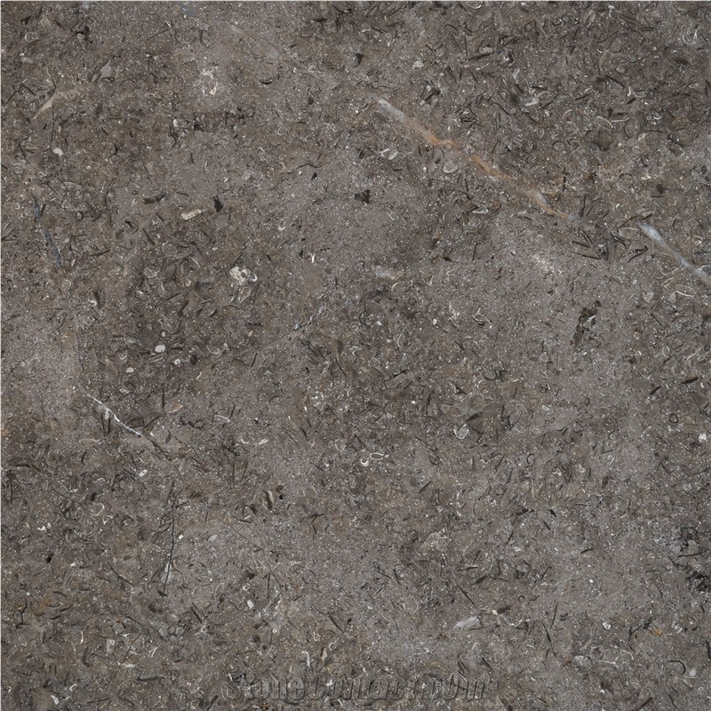 Triesta Grey Marble Tiles & Slabs