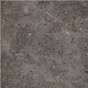 Triesta Grey Marble Tiles & Slabs