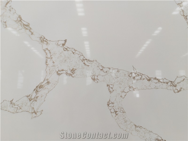 Calacatta Hot Sale Design High Glossy Surface