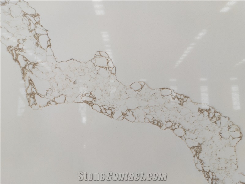 Calacatta Hot Sale Design High Glossy Surface