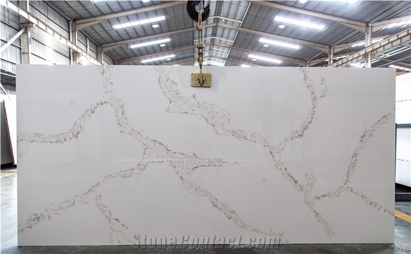 Calacatta Hot Sale Design High Glossy Surface