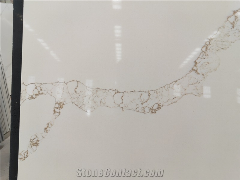 Calacatta Hot Sale Design High Glossy Surface