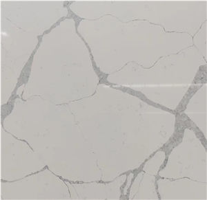 Quartz Slab White Background Color Grey Veins