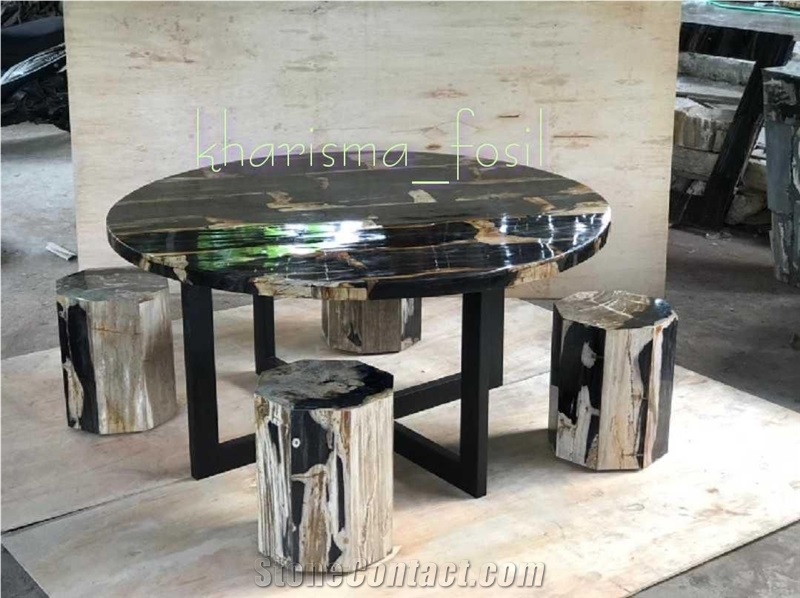 Petrified Wood Wash Basins