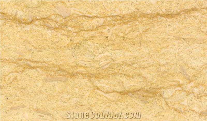 Silvia Marble Tiles & Slabs