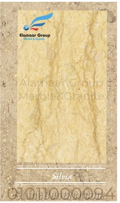 Silvia Marble Tiles & Slabs