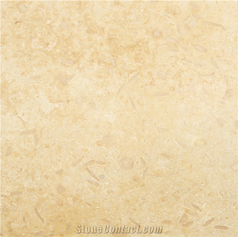 Sunny Menia Marble Slabs, Tiles