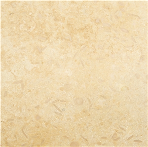 Sunny Menia Marble Slabs, Tiles