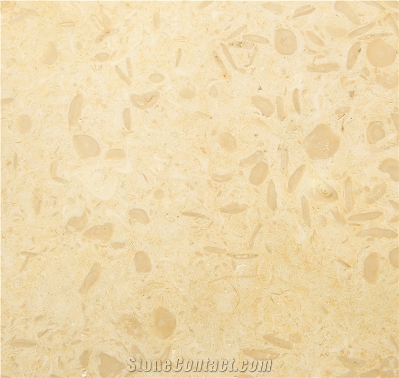 Sunny Menia Marble Slabs, Tiles