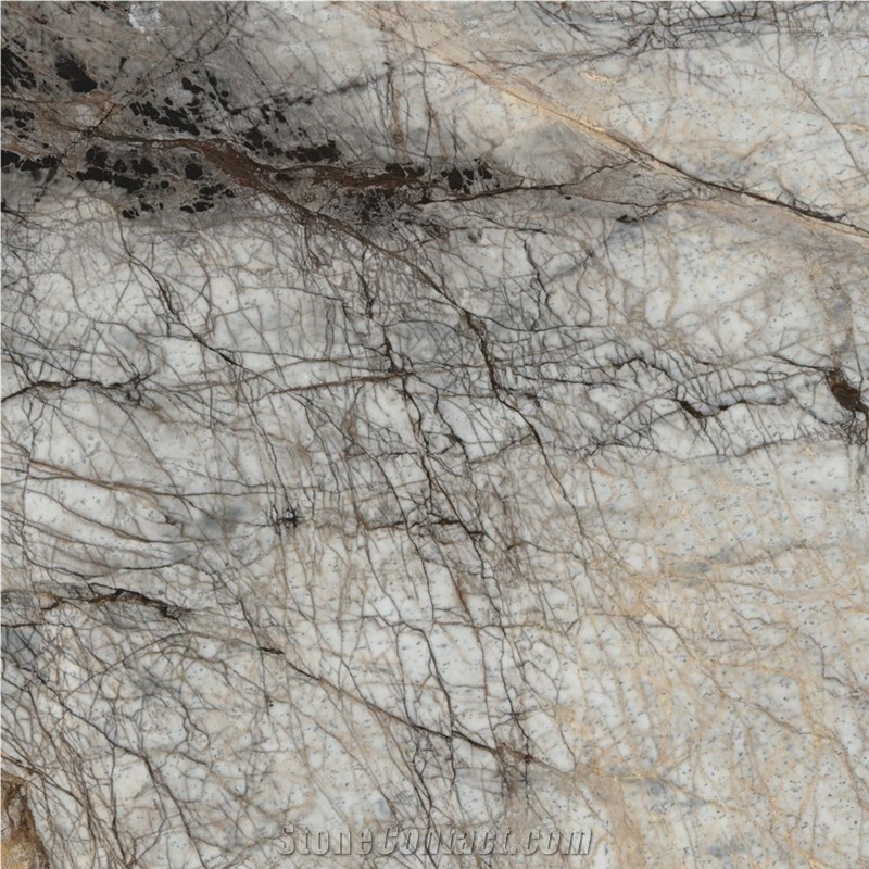 Black Eagle White Marble importance=