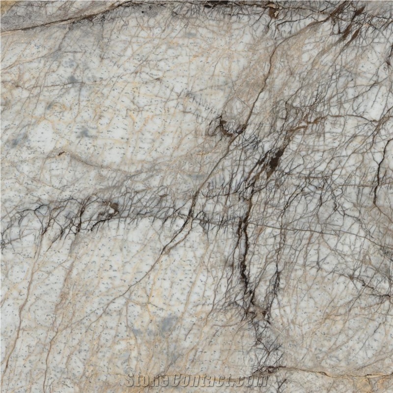 Black Eagle White Marble Tile