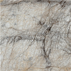 Black Eagle White Marble Tile