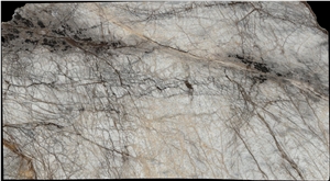 Black Eagle White Marble Slab