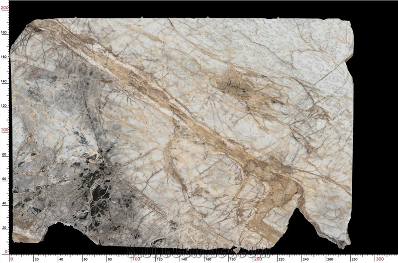 Black Eagle White Marble Slab