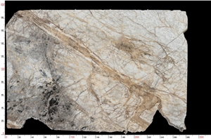 Black Eagle White Marble Slab
