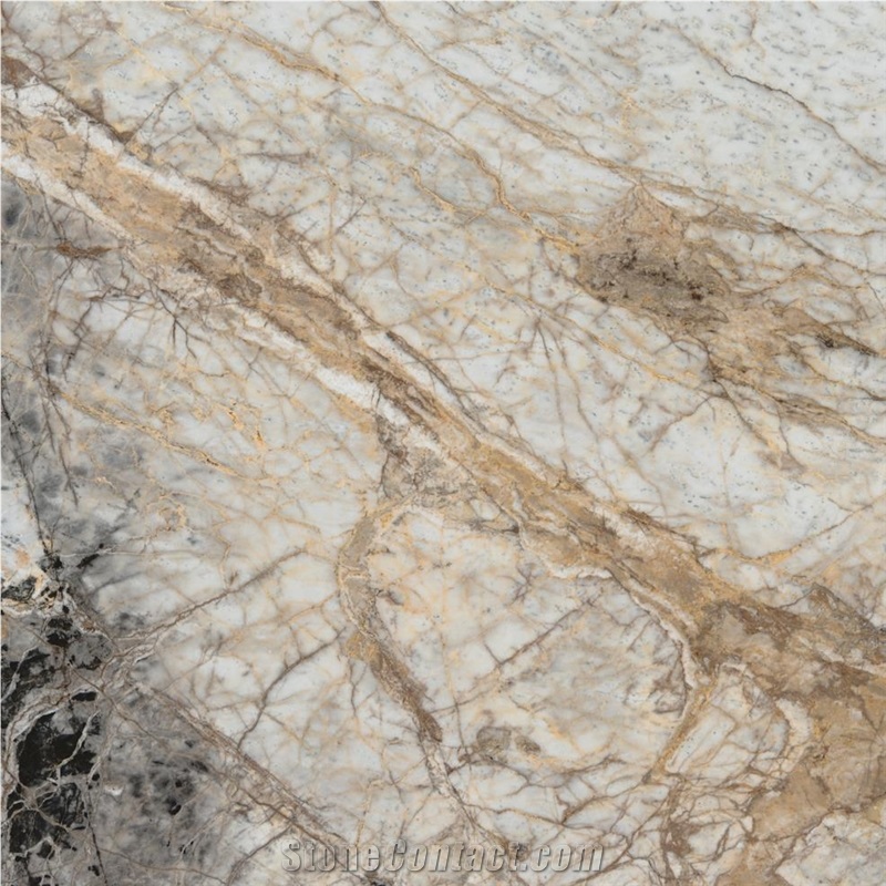 Black Eagle White Marble Tile
