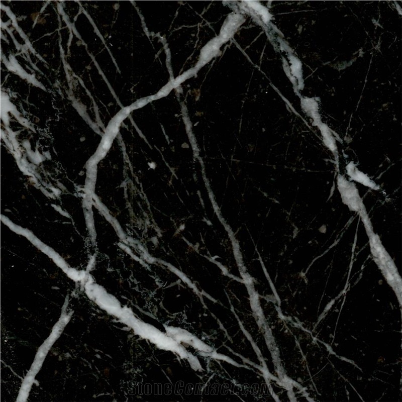 Black Symphony Marble Tile