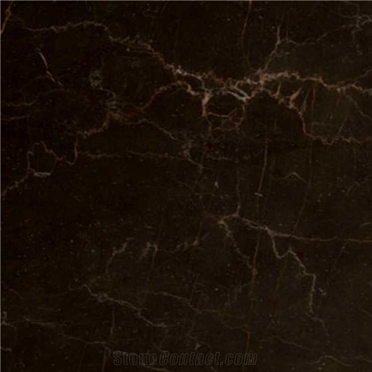 Dehbid Spider Marble importance=