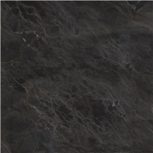 Dehbid Spider Marble Tile