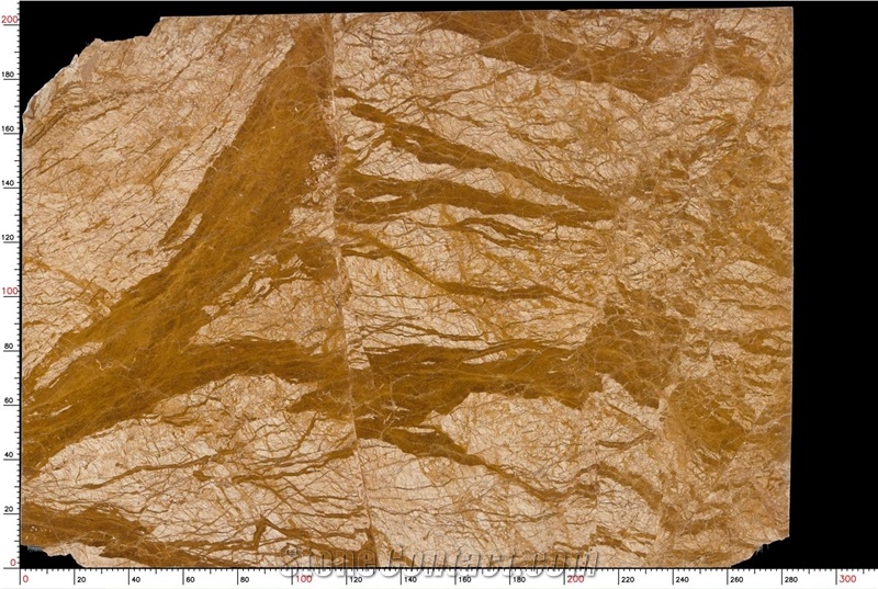 Golden Net Marble Slab