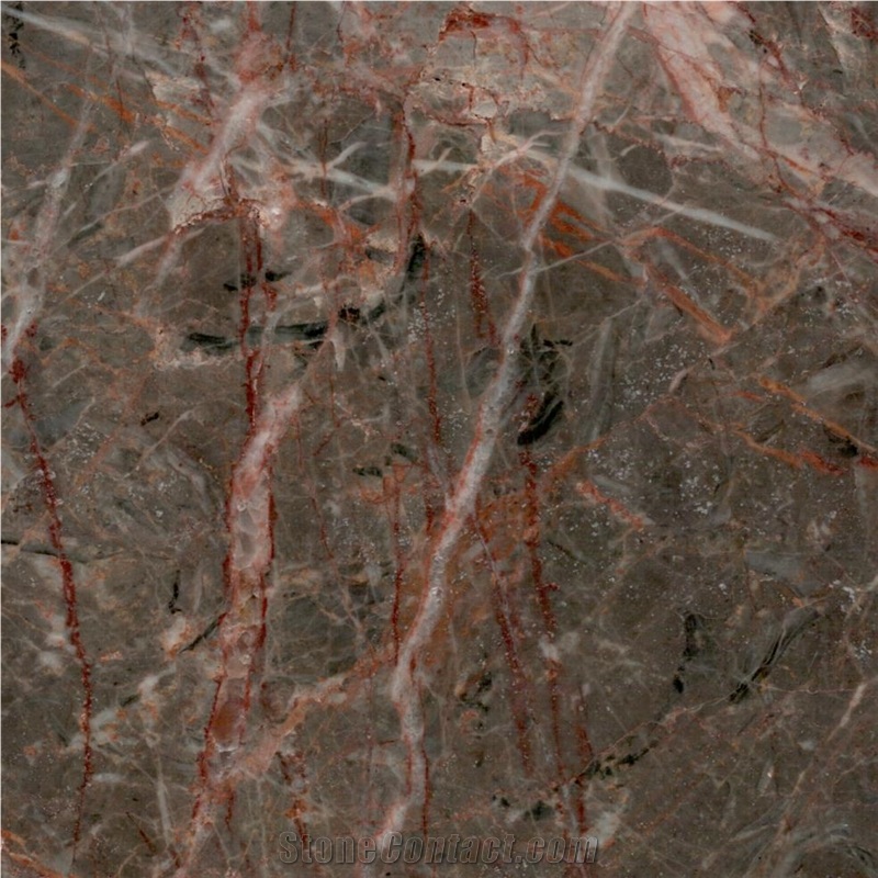 Paeez Zanganeh Marble importance=