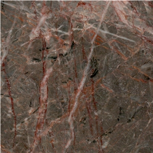 Paeez Zanganeh Marble