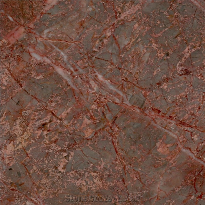 Paeez Zanganeh Marble Tile