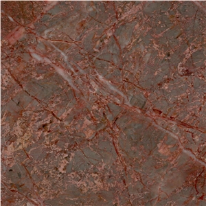 Paeez Zanganeh Marble Tile