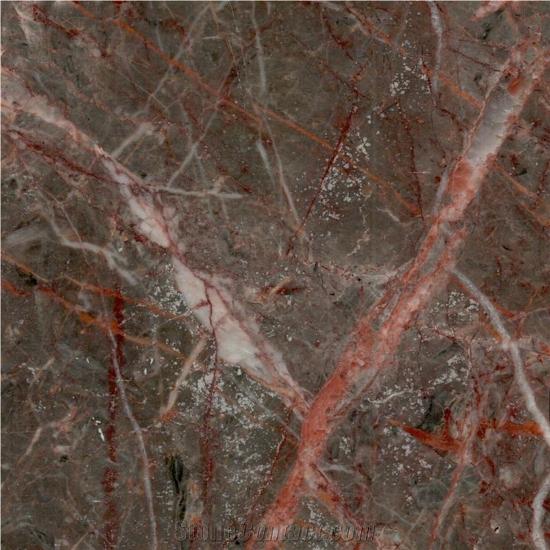 Paeez Zanganeh Marble Tile