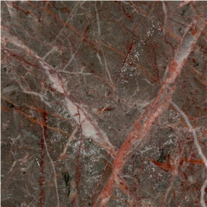 Paeez Zanganeh Marble Tile