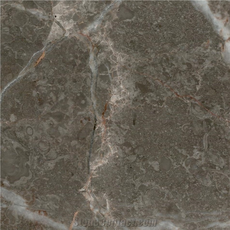 Persian Royal Grey Marble importance=