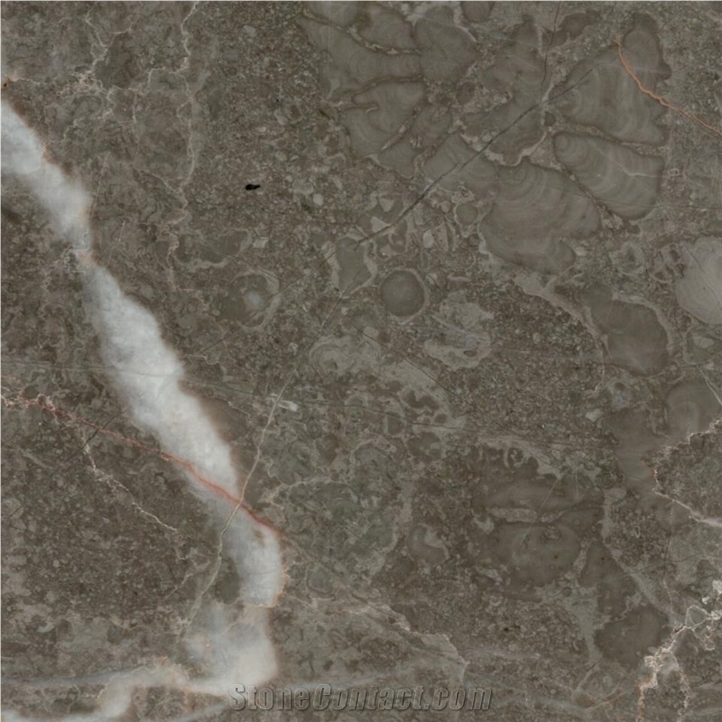 Persian Royal Grey Marble Tile
