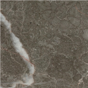 Persian Royal Grey Marble Tile