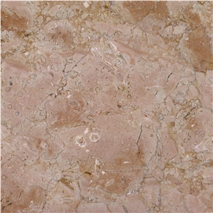 Rosa Tea Tile