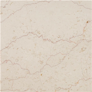 Salsali Fossil Roshan Marble