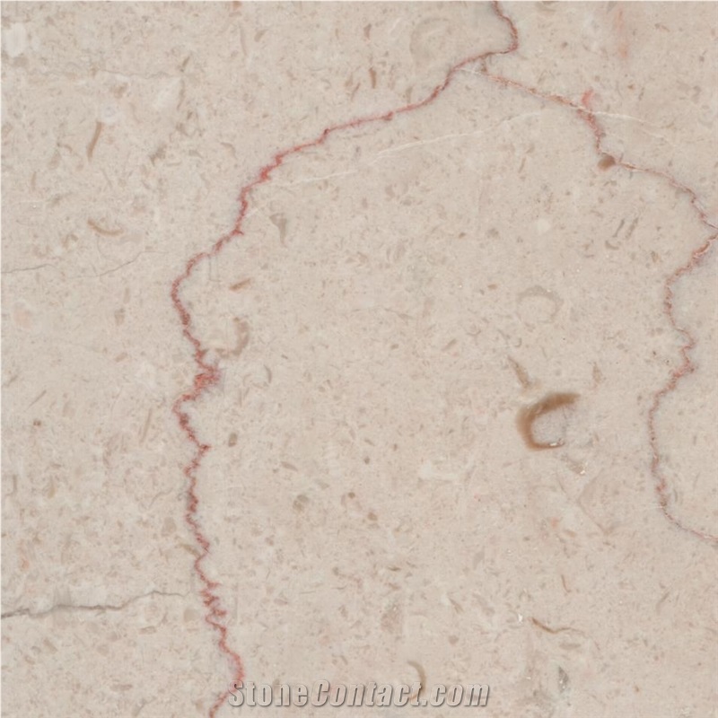Salsali Marble importance=