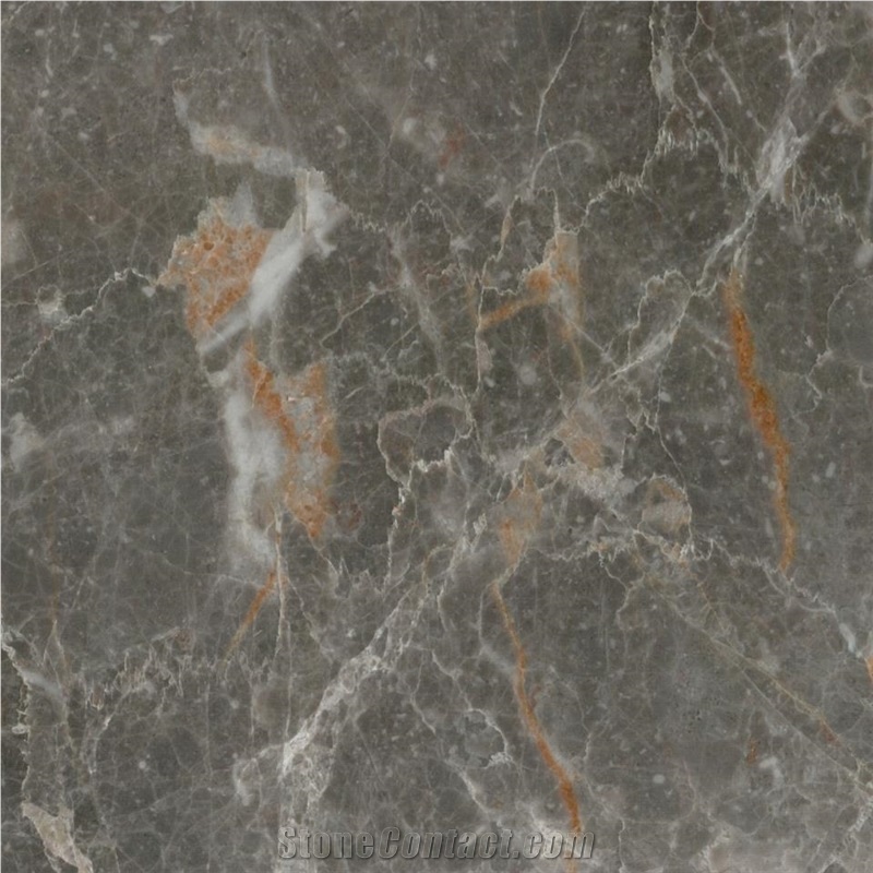 Silk Dehbid Marble Tile