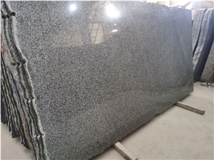 China Georgia Gray Granite, New G654 Slabs