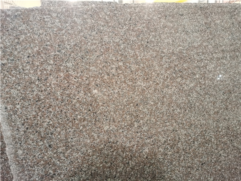 Rose Pink G664 Big Slabs 2600X1600x20mm Gangsaw Slabs