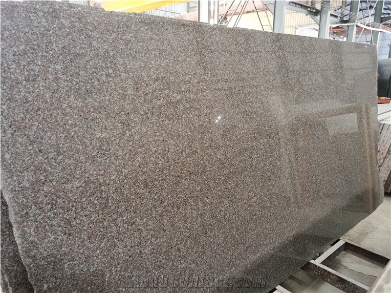 Rose Pink G664 Big Slabs 2600X1600x20mm Gangsaw Slabs