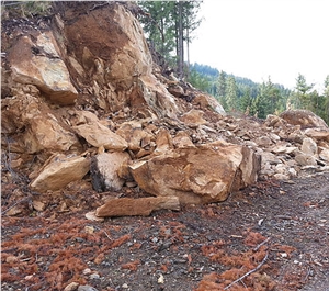 Southern Oregon Soapstone Quarry