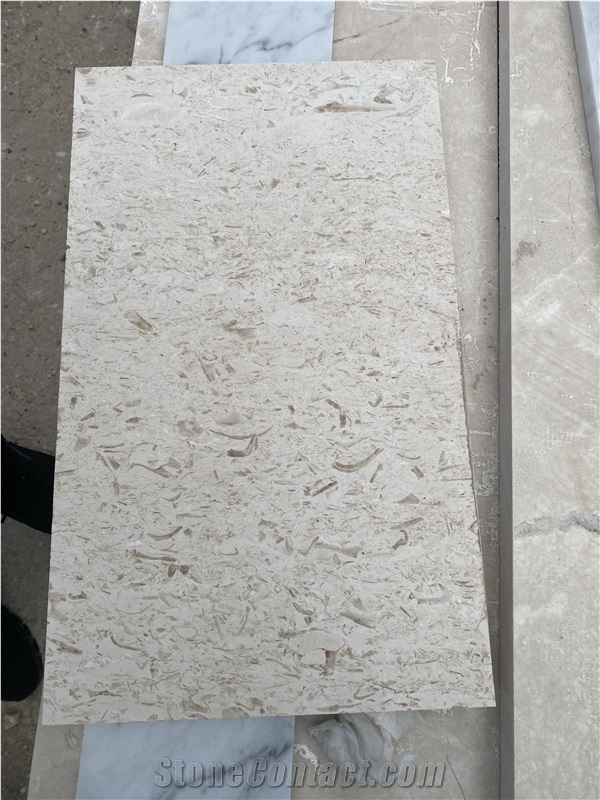 Limra Fossils Limestone Tiles