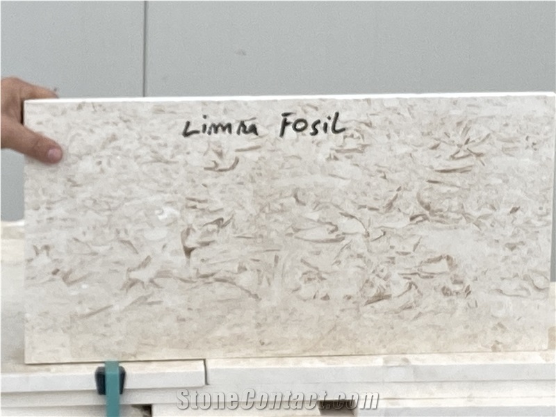 Limra Fossils Limestone Tiles