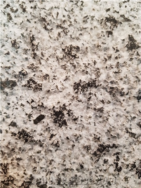 New Halayeb Slabs & Tiles, White Eldo Granite Slabs & Tiles