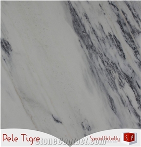 Pele Tigre Marble Tiles & Slabs